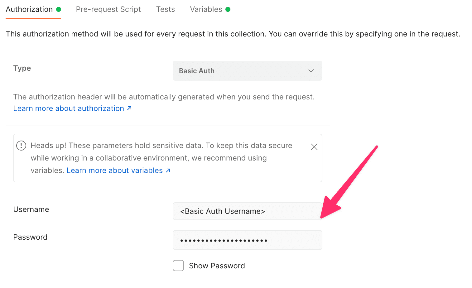 Basic authentication in Postman